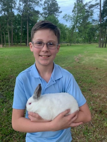 Fryer Rabbit - Brayden Barron - Grapeland FFA