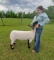 Market Lamb - Chloe Galvan - Walker County 4-H