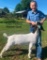 Market Goats - Cope Perkins - Walker County 4-H