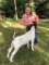 Market Goats - Emily Lamb - Walker County 4-H