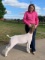 Market Goats - Delanie Graham - Walker County 4-H