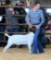 Market Goats - Keaten Davidson - New Waverly 4-H