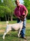 Market Goats - Bryce Buxkemper - New Waverly FFA