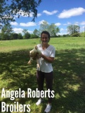 Pen of 3 Broilers - Angela Roberts - New Waverly FFA