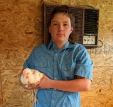 Pen of 3 Broilers - Tristan Lawson - New Waverly FFA
