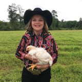 Pen of 3 Broilers - Lexi Gregory - New Waverly 4-H