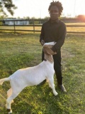 Market Goats - Julius Scott - New Waverly 4-H