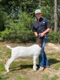 Market Goats - Brady Sanders - Walker County 4-H