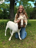 Market Goats - Kate Phillips - New Waverly 4-H