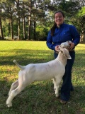 Market Goats - Bailey Lamb - Huntsville FFA