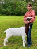 Market Goats - Kathryn Johnson - New Waverly 4-H