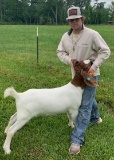 Market Goats - Colby Cheney - New Waverly FFA