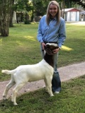 Market Goats - Makenzie Brown - Huntsville FFA