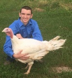 Market Turkeys - Ryan Stoughton - Walker County 4-H