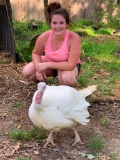 Market Turkeys - Jenna Slie - Walker County 4-H