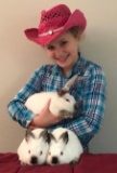 Pen of 3 Rabbits - Brianne Wells - New Waverly 4-H