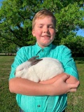 Pen of 3 Rabbits - Evan Allen - Walker County 4-H