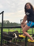 Pen of 3 Commercial Heifers - Sydney Paschal - Walker County 4-H