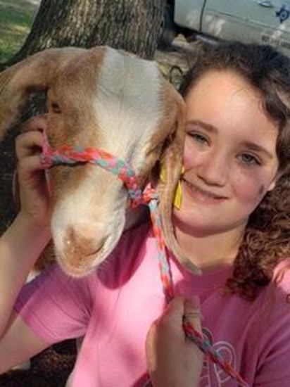 Goats - Kaylie Perdue - Plum Grove 4-H