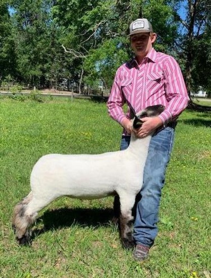 Lambs - Nathan Wells - Tarkington 4-H