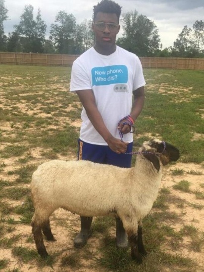 Lambs - Trevion Lebum - Cleveland FFA