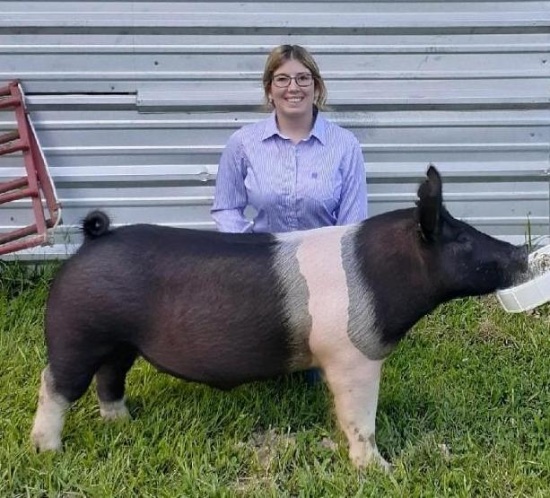 Swine - Amy Scarborough - Tarkington FFA