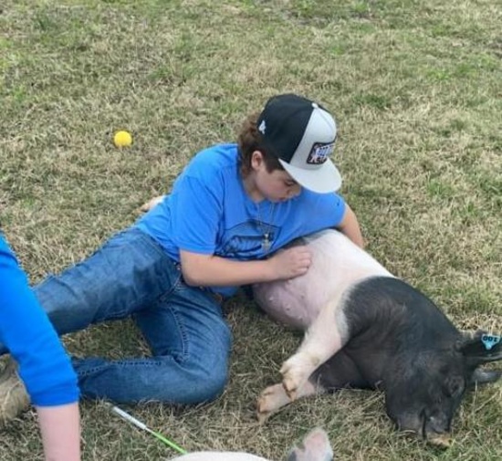 Swine - Blake Spier - Tarkington FFA