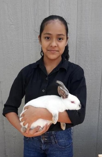 Single Fryer Rabbit - Alondra Moreno - Spring FFA