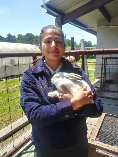 Single Fryer Rabbit - Liliana Vega - Westfield FFA