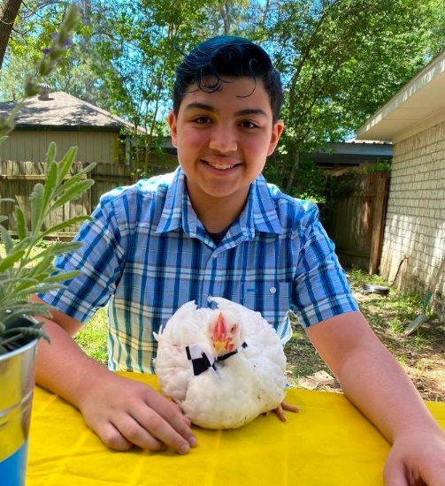 Single Broiler -Aiden Quintanilla - Spring FFA