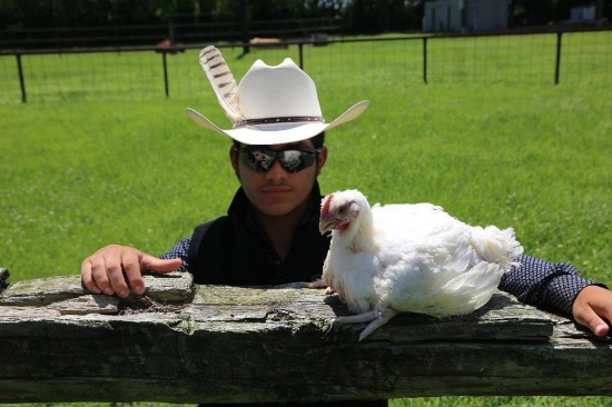 Single Broiler - Matthew Minera - Spring FFA