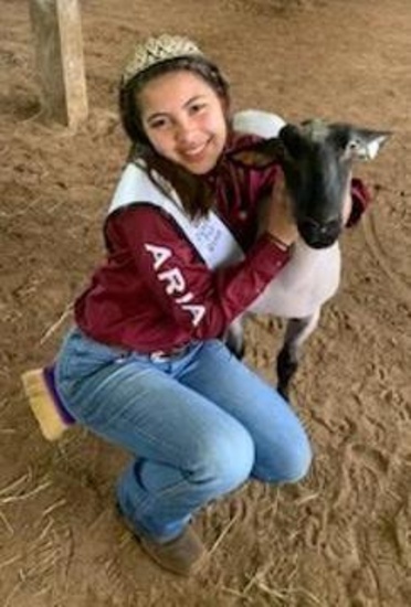 Market Lamb - Reyna Hopkins - Spring FFA