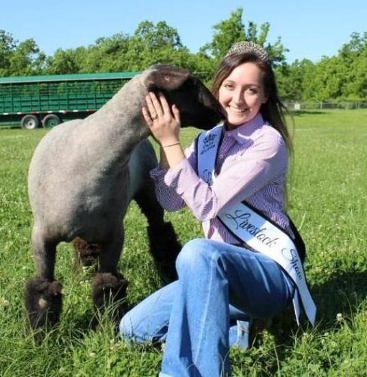 Market Lamb - Jasmine Moynahan - Spring FFA