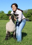 Market Lamb - Gabby Moynaha - Spring FFA