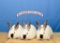 Rabbit - Jaycee Esters - North Zulch 4-H
