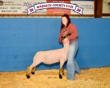 Grand Champion - Sheep - Emma Hurst - Madisonville FFA