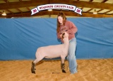 Sheep - Madi Caperton - Lamb & Goat Club