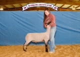 Sheep - Bryana Bowman - Madisonville FFA