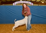 Goat - Levi Zehnder - Madisonville 4-H