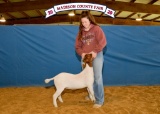 Goat - Josalyn Crutchfield - Madisonville 4-H