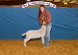 Goat - Kiya Gantz - Madisonville 4-H