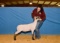 Sheep - Madalynn Regnold - North Zulch 4-H