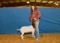 Goat - Emma Hurst - Madisonville FFA