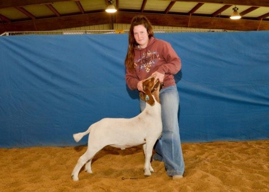Goat - Lornah Wiseman - Madisonville FFA