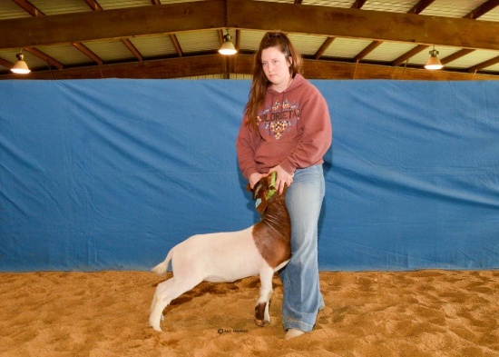 Goat - Jayden Crutchfield - Madisonville 4-H