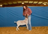 Goat - Kallie Tilton - Lamb & Goat Club