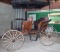 Late 1800's Dual Seat Horse Drawn Carriage