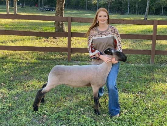 Reserve Champion Lamb - Anneliese Beasley - 4H