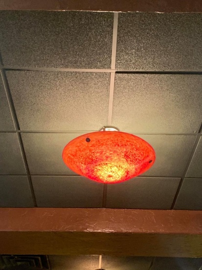 Ceiling Mounted Coral Light Fixtures Qty 3 (All Lighting Can't be removed until Wednesday)
