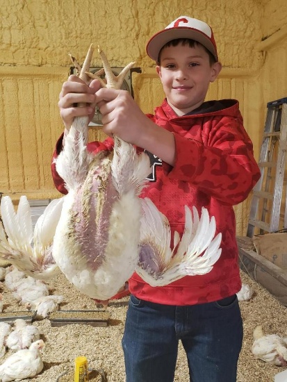 6th Place Broilers - Hardy Brown - Centerville 4H